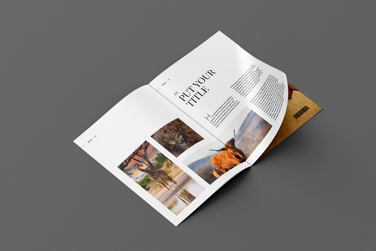 Portfolio Brochure Layout, a Brochure Template by Seeing-art (Photo 8 of 11)