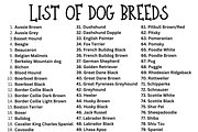 Witch Halloween Dog Breed Clipart, a Graphic by Mrs. Creative Creations (Thumbnail 2 of 6)