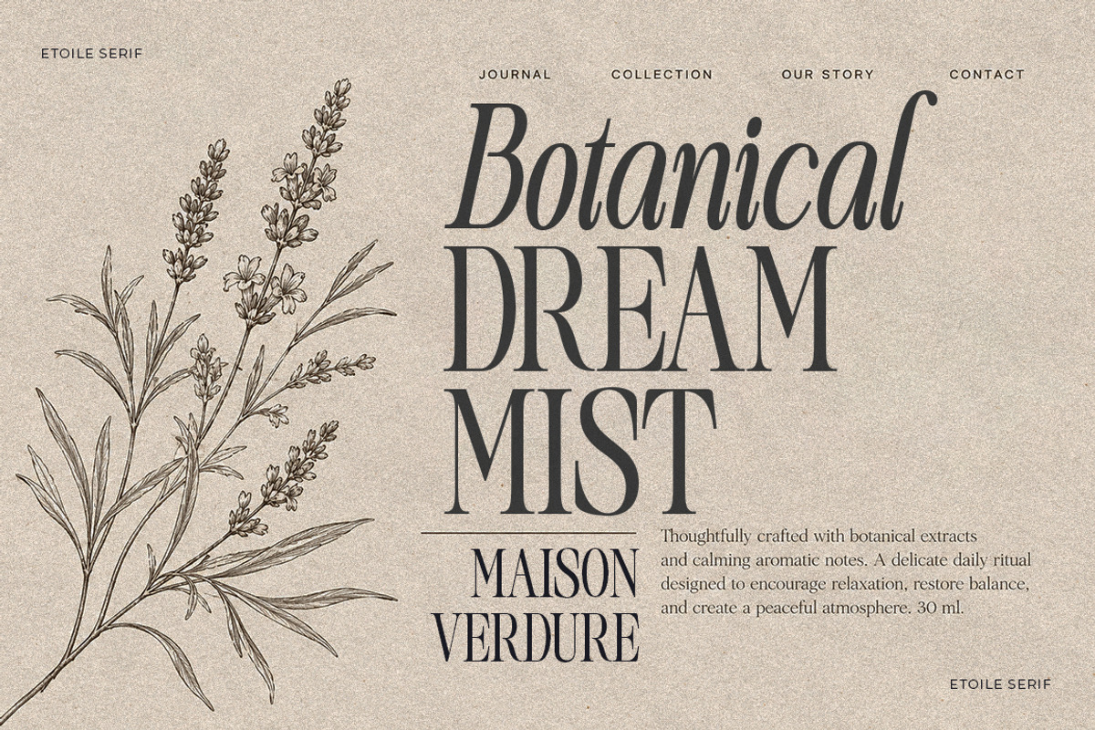Etoile Club Chaos | 16 Font, a Serif Font by Natural Ink Studio (Photo 14 of 15)