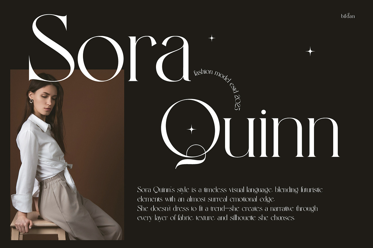 Bildan Modern Ligature Serif, a Serif Font by Alfinart (Photo 2 of 10)