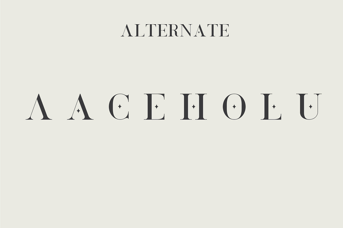 Full Bloom, a Serif Font by Teweka (Photo 10 of 11)