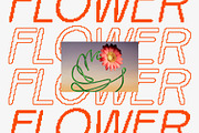 Ranberg Rounded Pixel, a Sans Serif Font by Craft Supply Co. (Thumbnail 2 of 8)