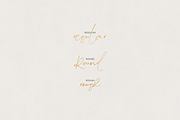 Goldenquill Elegant Signature Script, a Script Font by Only Fonts (Thumbnail 10 of 13)