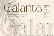 Galante Branding Luxury Font Family, a Serif Font by Sensatype (Thumbnail 12 of 21)