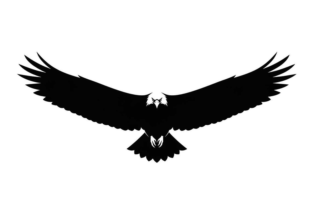 50 Flying Eagle Silhouette Vector Bu, an Illustration by Designs_River (Photo 9 of 51)