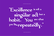 AO Orchid - Decorative Typeface, a Serif Font by OwunStudio (Thumbnail 12 of 15)