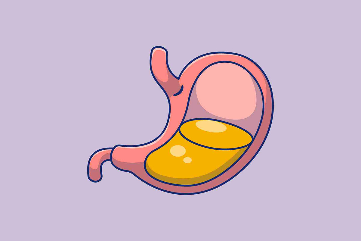 Stomach Cartoon Vector Icons, a Person Illustration by Artstorystudio (Photo 2 of 3)