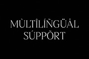 Blacindy Modern Serif Font, a Serif Font by Letterena Studios (Thumbnail 12 of 15)