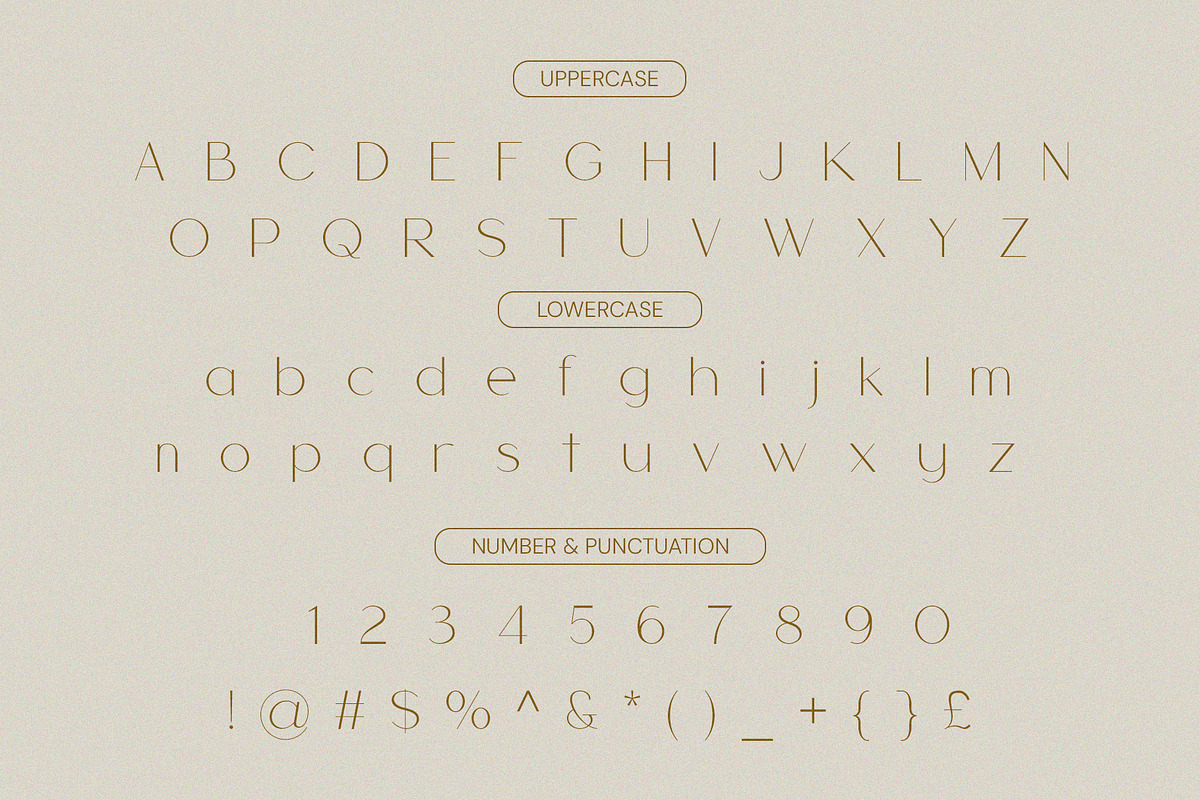 Cherla - Clean & Visual Elegance, a Sans Serif Font by BOOSH Studio (Photo 11 of 14)