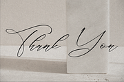 Classthy Theriond Chic Calligraphy, a Script Font by Storytype Studio (Thumbnail 15 of 15)