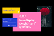 Delvona Serif Family, a Serif Font by Mulkan Nazir (Thumbnail 14 of 15)