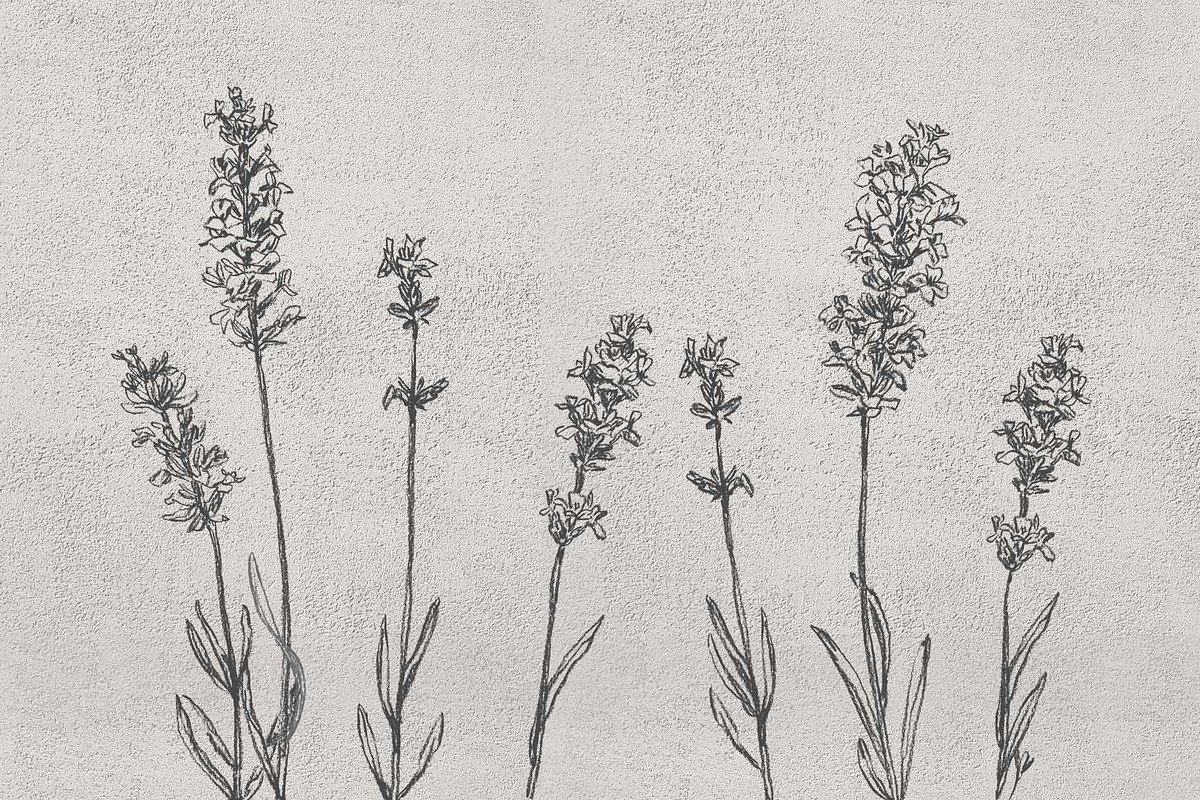 boho lavender clipart, an Illustration by JULIA x JULIE's ART (Photo 2 of 6)