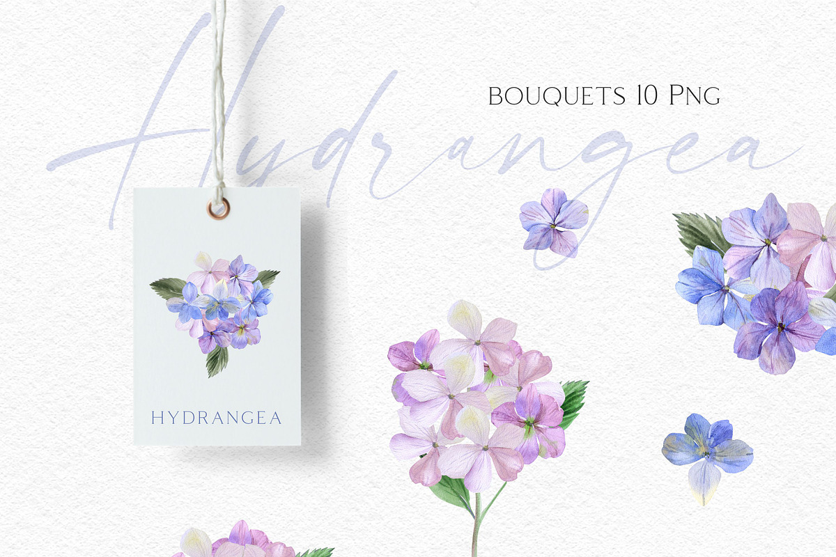 Watercolor Hydrangea Garden Set, an Illustration by Olga Koelsch (Photo 8 of 13)