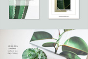 Plant series stock photos, a Nature Photo by Nellaino (Thumbnail 2 of 6)