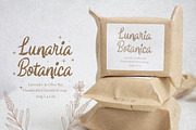 Salentina Rustic Script, a Script Font by Littlehand (Thumbnail 2 of 11)