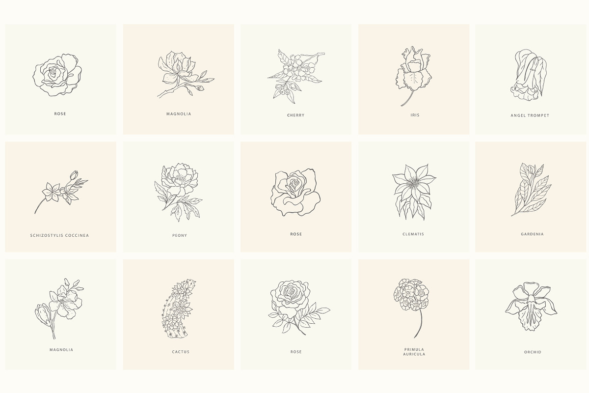 Birth-Flowers. Trendy Plants, Logos, a Seasonal Illustration by Designwork (Photo 12 of 21)