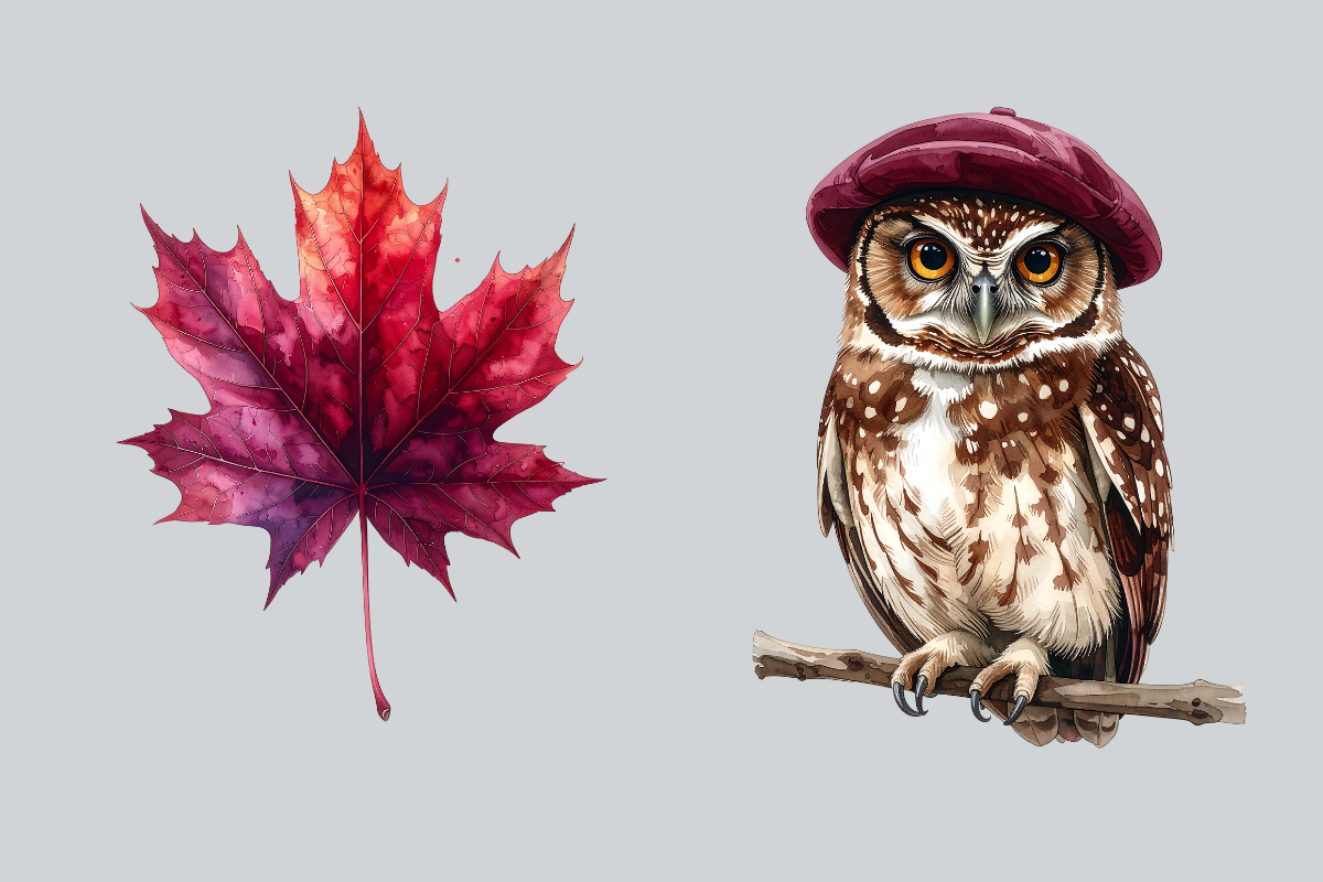 Burgundy Autumn Clipart Bundle, an Object Illustration by Daffodil Dream Studio (Photo 5 of 7)