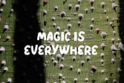 DAYDREAM PAPER - font, a Blackletter Font by Ashiya Pixel (Thumbnail 6 of 8)