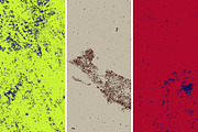 GSTC - Stone bench textures, a Texture Graphic by The Shop (Thumbnail 72 of 80)