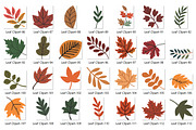 Autumn Leaves Clipart Bundle, a Seasonal Illustration by Whimsy Brush Studio (Thumbnail 6 of 9)