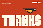 Evori - Bold Condensed Display Font, a Sans Serif Font by Pekotype (Thumbnail 15 of 15)