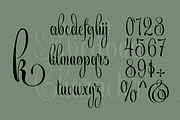 Abellona Script, a Script Font by TypeClassHeroes (Thumbnail 4 of 11)