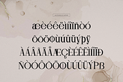 Ronale Classic | Handmade Serif, a Serif Font by gracetype_studio (Thumbnail 11 of 12)