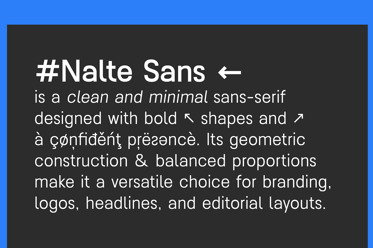 Nalte Sans Family | Intro 60% OFF, a Sans Serif Font by Lettertype Studio (Photo 2 of 15)