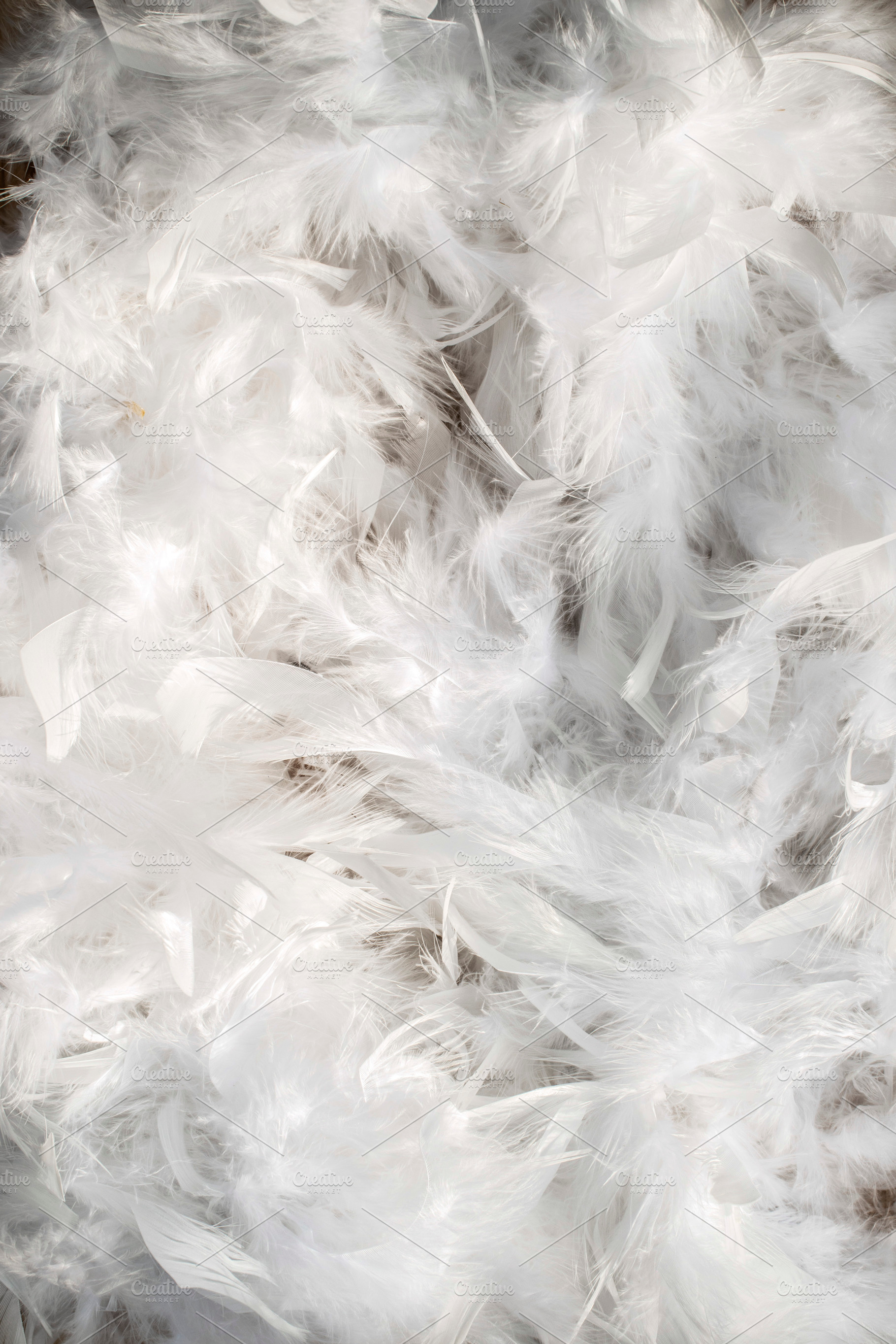 Feather background, a Holiday Photo by DegImages