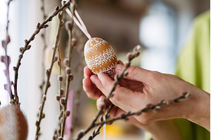 Decorating pussy willows branches, an Arts & Entertainment Photo by HalfPoint