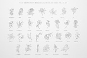 Botany & Moon. Hand Drawn Line Art., a Decorative Illustration by Designwork (Thumbnail 2 of 20)