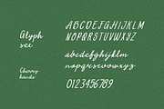 CherryHands- Retro Script Font, a Script Font by Typeparties (Thumbnail 9 of 10)