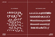 Hogie Angelo – Elegant Classic Serif, a Serif Font by Qweera Studio (Thumbnail 11 of 12)