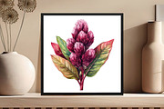 Celosia Flower Clipart, an Illustration by DreamCafeArt (Thumbnail 8 of 9)