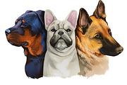 Popular Dog Breeds in World Pets Set, an Illustration by Dneprstock (Thumbnail 1 of 4)
