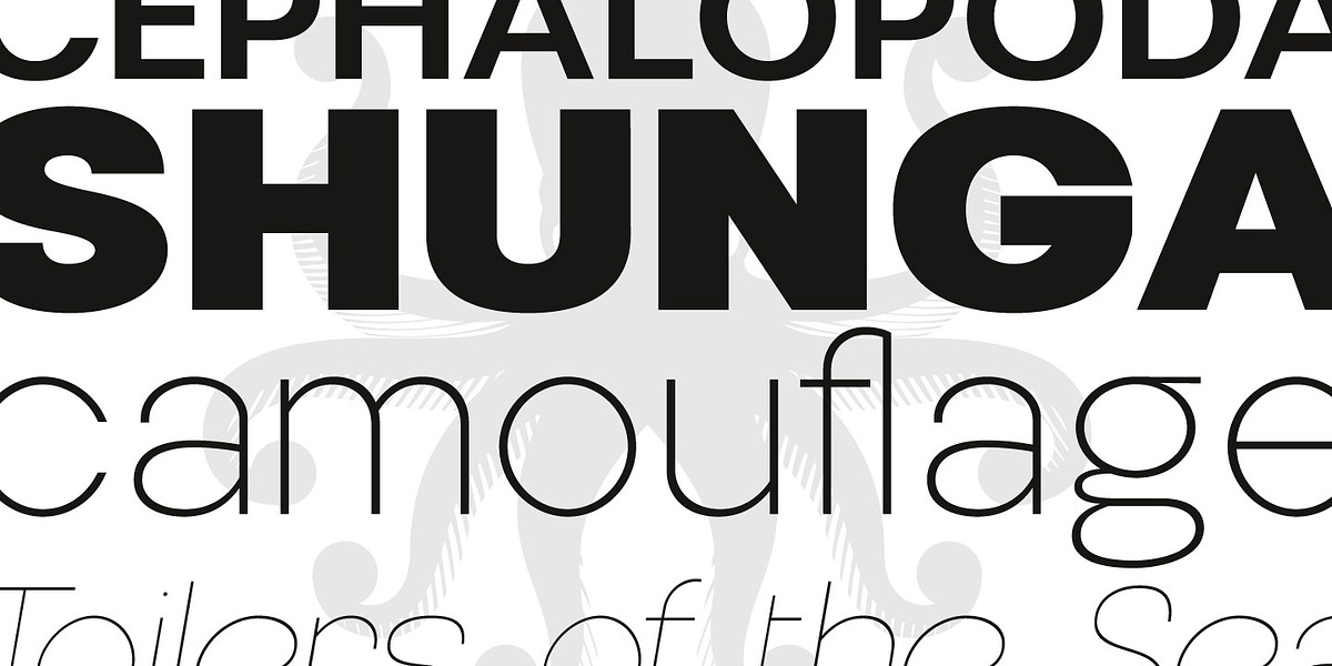 Nemorosa, a Sans Serif Font by Octotypo (Photo 2 of 7)