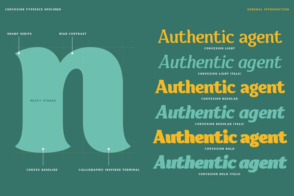 Convexion, a Serif Font by Typogama (Photo 2 of 10)