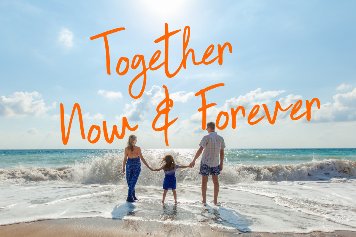 Sentimental | Script Font preview 5