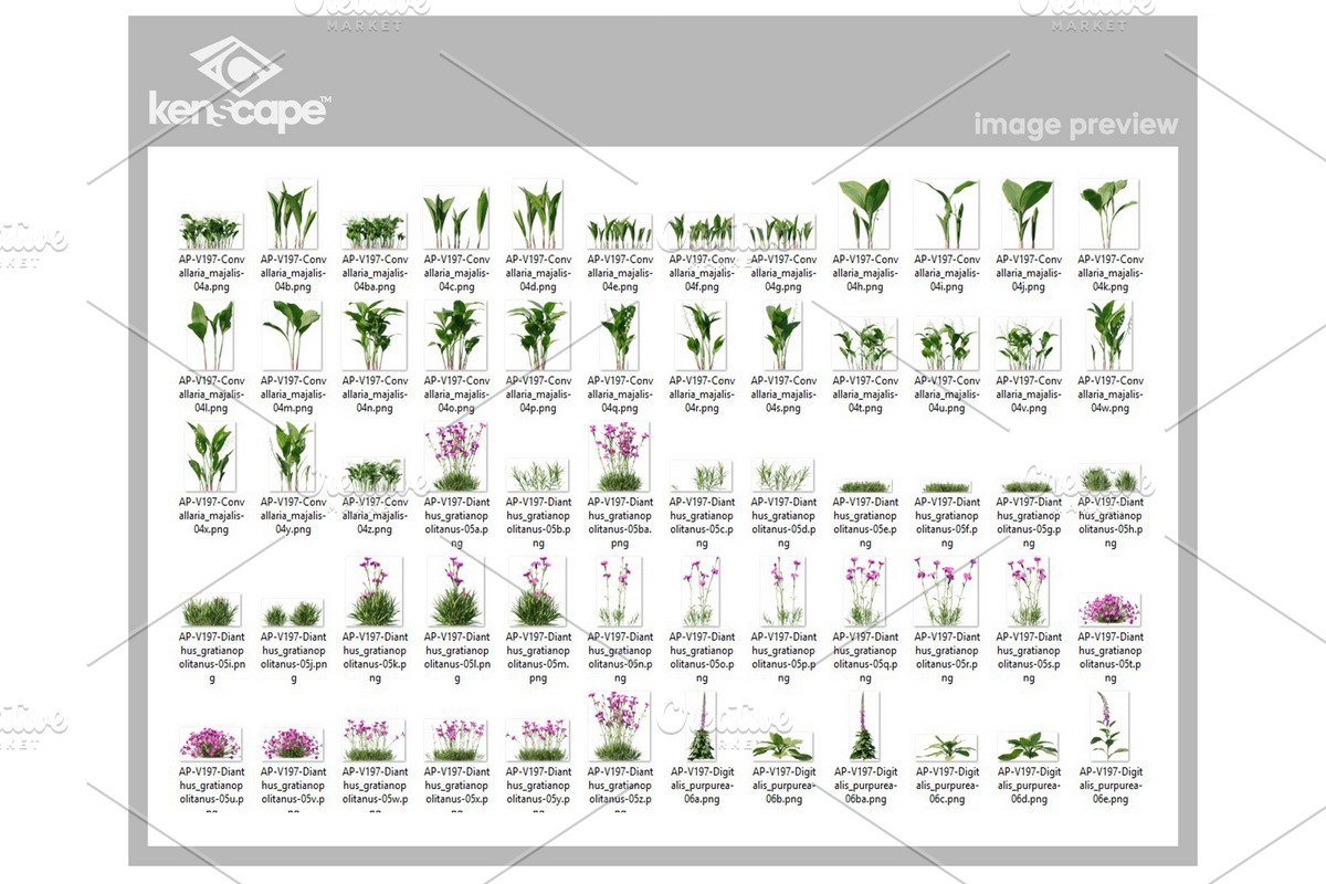 108 Assorted Plants Photo Overlays, a Nature Photo by KenScape (Photo 3 of 4)
