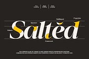 GC Backside Valley - modern serif, a Serif Font by Glyphonic (Thumbnail 11 of 15)
