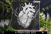 Anatomical Human Heart Flames Smoke, a Background Graphic by LaseredNinja (Thumbnail 7 of 7)