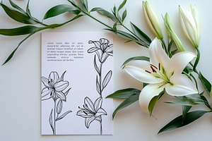 Lily Flowers Line Art SVG