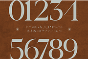 Arceloni Elegance Serif Font, a Serif Font by Vadovastd (Thumbnail 3 of 11)
