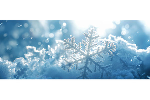 Winter Nature Background, an Abstract Photo by BazziBa♥