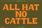 Rawhide Display Font, a Serif Font by Cactus Country (Thumbnail 4 of 5)