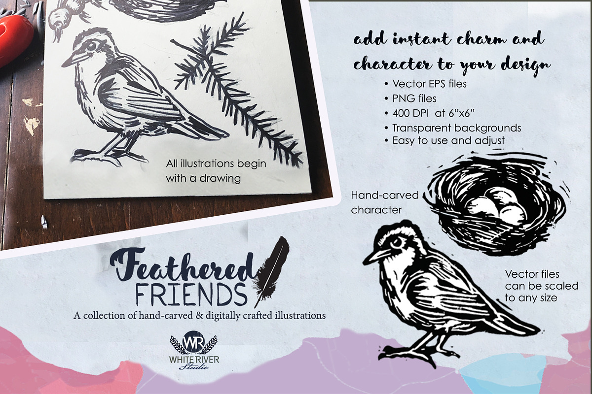 Feathered Friends Linocuts, an Illustration by WhiteRiverStudio (Photo 4 of 10)