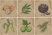 Hand drawn vector plants, a Food Illustration by SHom (Thumbnail 10 of 17)