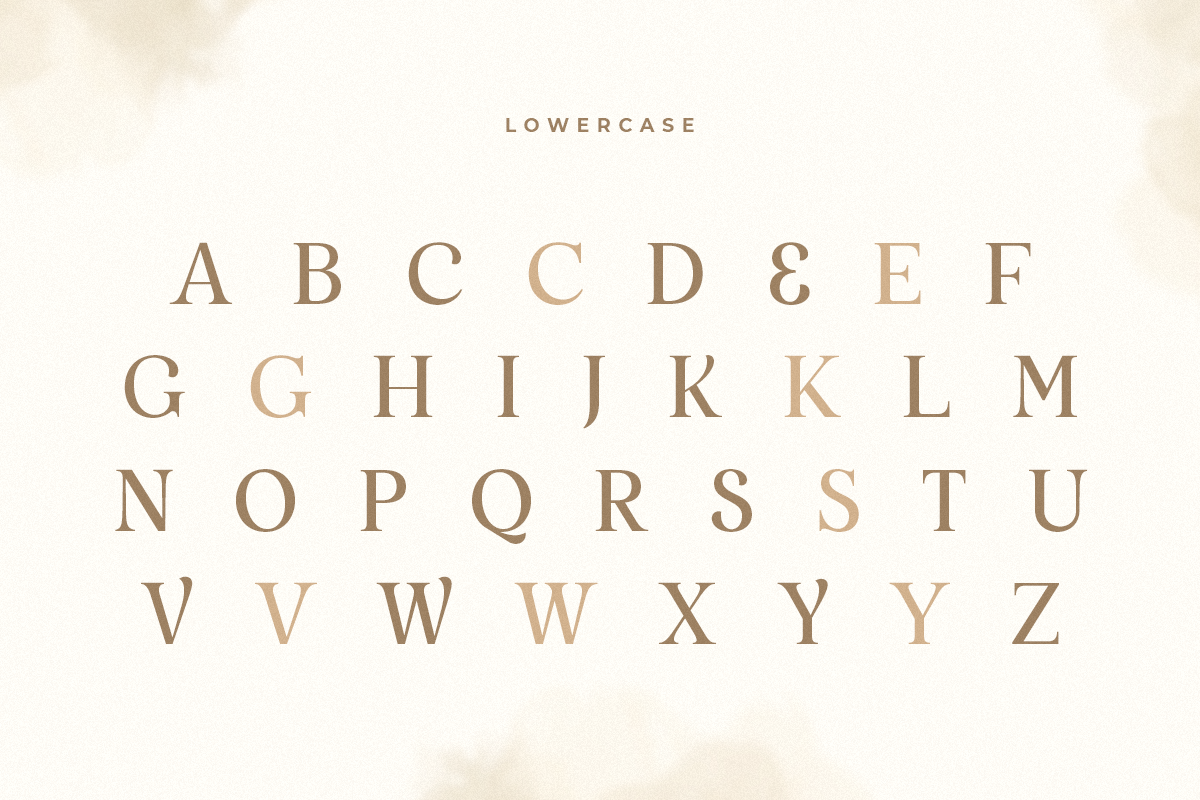 Salute - Modern Vintage Beauty Font, a Serif Font by Sensatype (Photo 10 of 21)