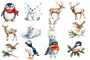 Winter Animals and Birds clipart, an Illustration by Designworld (Thumbnail 5 of 6)