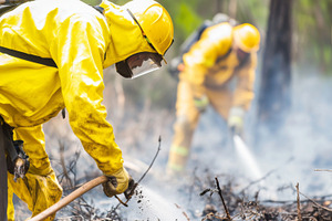 Firefighters combat forest wildfire in protective gear, creating, a Photo by Dvoevnore photos